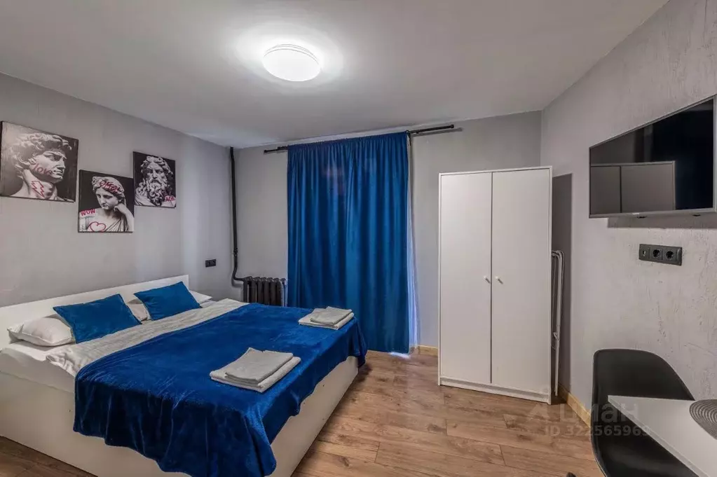 1-к кв. Санкт-Петербург Невский просп., 87/2 (24.0 м) - Фото 1