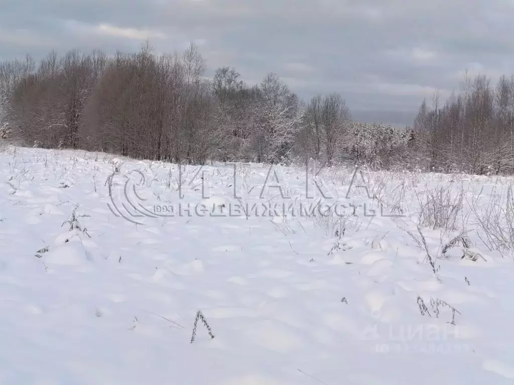 Участок в Ленинградская область, Лодейнопольское городское поселение, ... - Фото 1