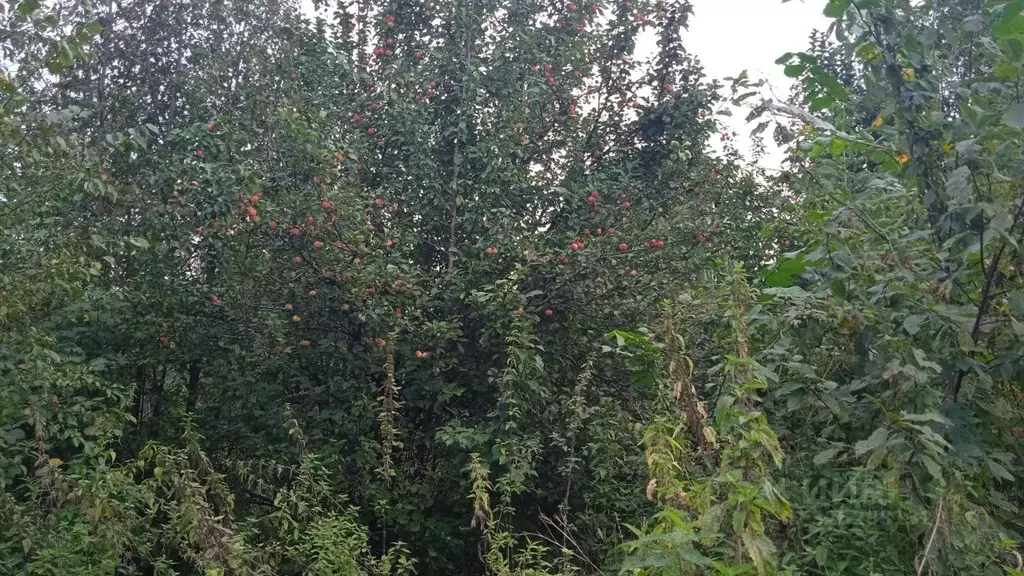 Помещение свободного назначения в Свердловская область, Красноуфимск № ... - Фото 2