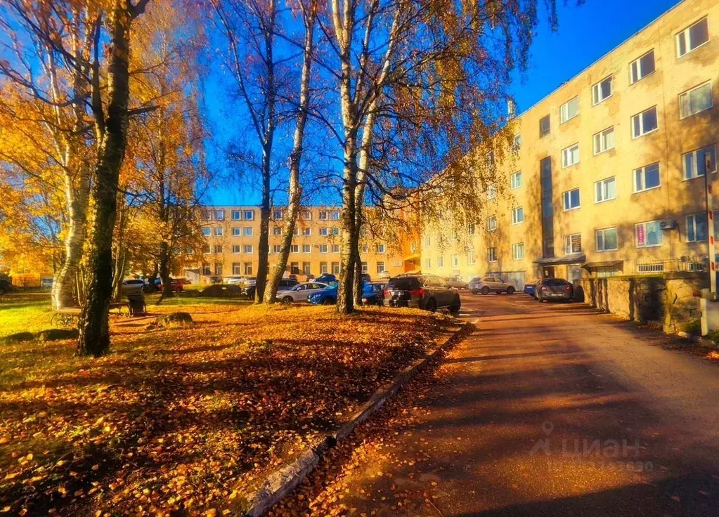 Помещение свободного назначения в Ленинградская область, Выборг ул. ... - Фото 1