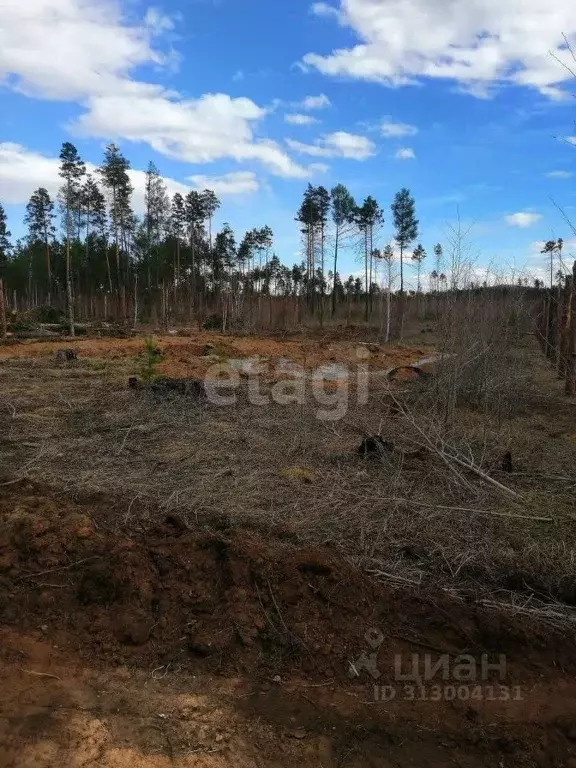 Дом в Забайкальский край, Читинский район, с. Смоленка  (84 м) - Фото 1