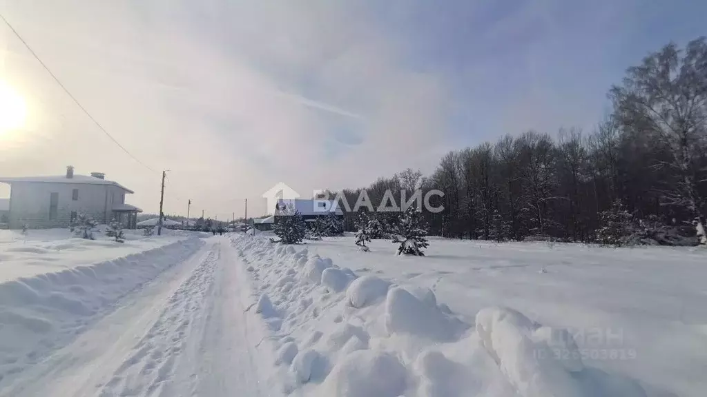 Участок в Владимирская область, Владимир с. Кусуново, ул. Волозинская, ... - Фото 1