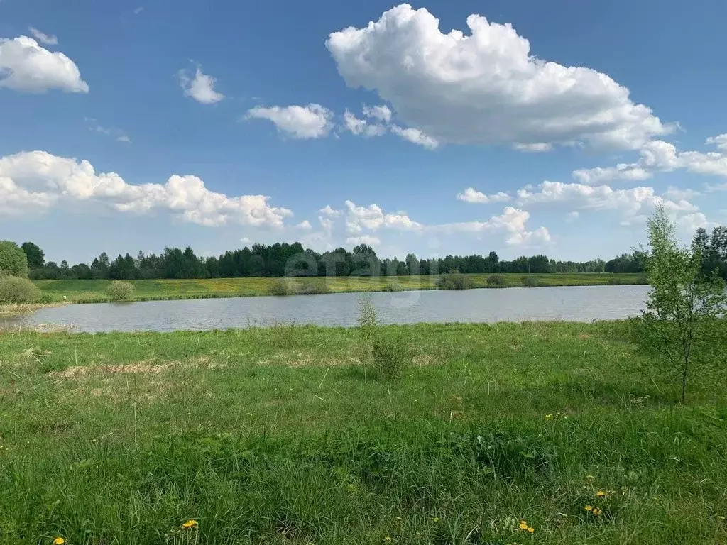 Участок в Ярославская область, Борисоглебский муниципальный округ, д. ... - Фото 1