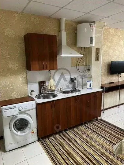 Студия Краснодарский край, Туапсинский муниципальный округ, ... - Фото 1