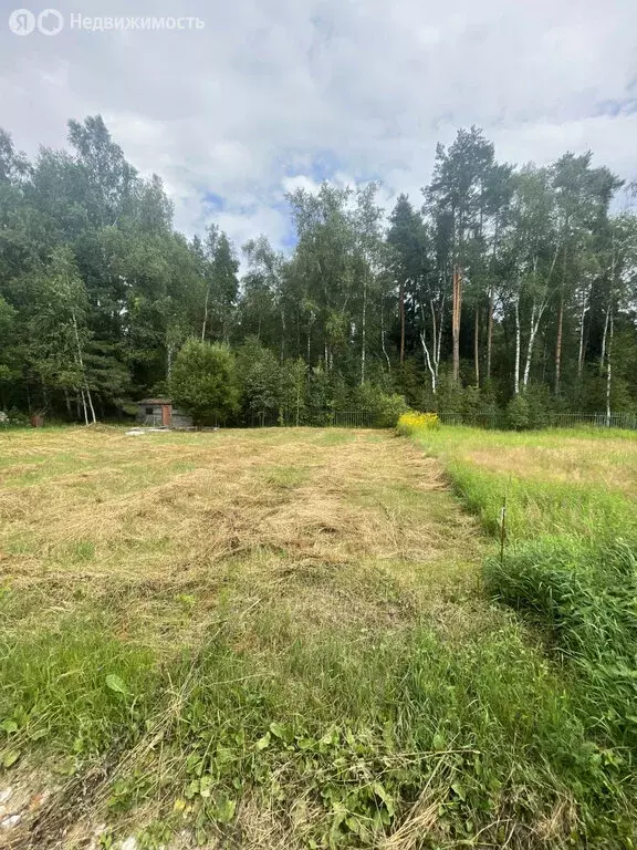 Участок в Нижегородская область, Бор (4.5 м) - Фото 1