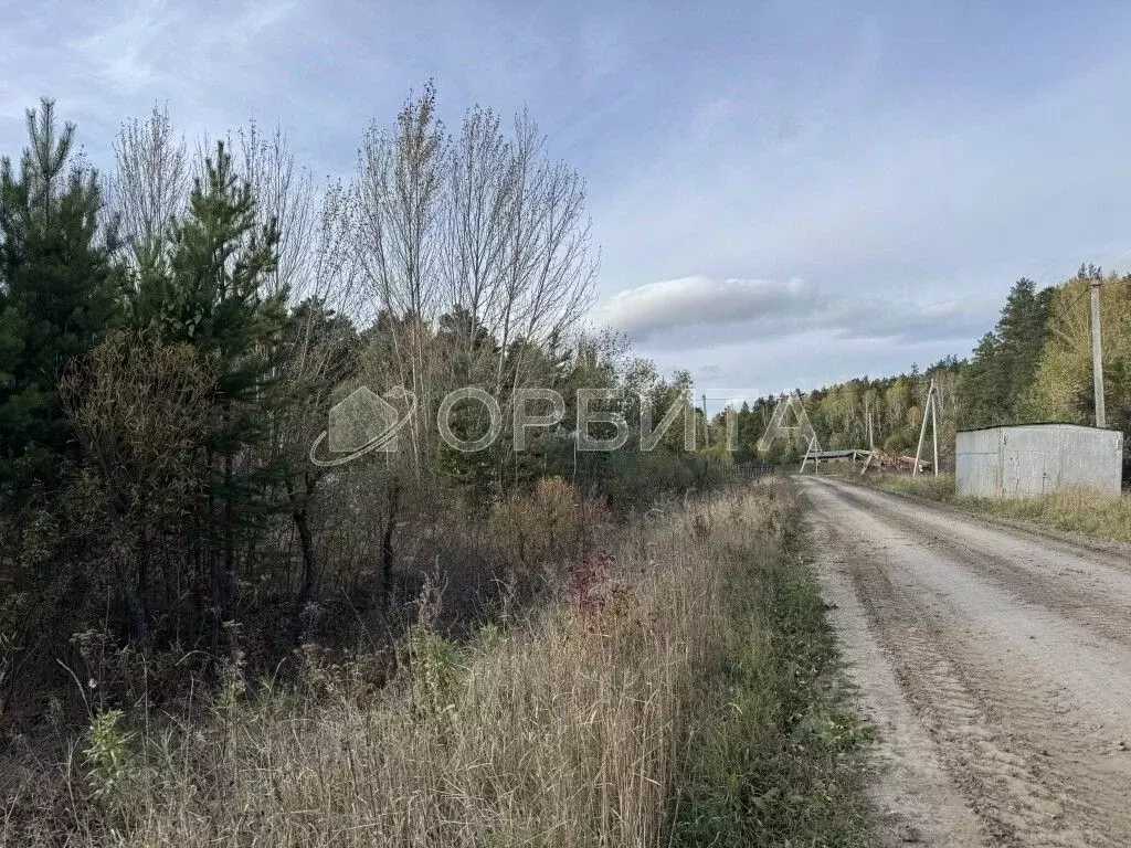 Участок в Тюменская область, Тюменский муниципальный округ, Победа кп  ... - Фото 0