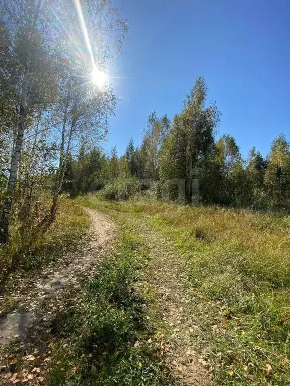 Участок в Брянская область, Выгоничский район, Хмелевское с/пос, д. ... - Фото 1