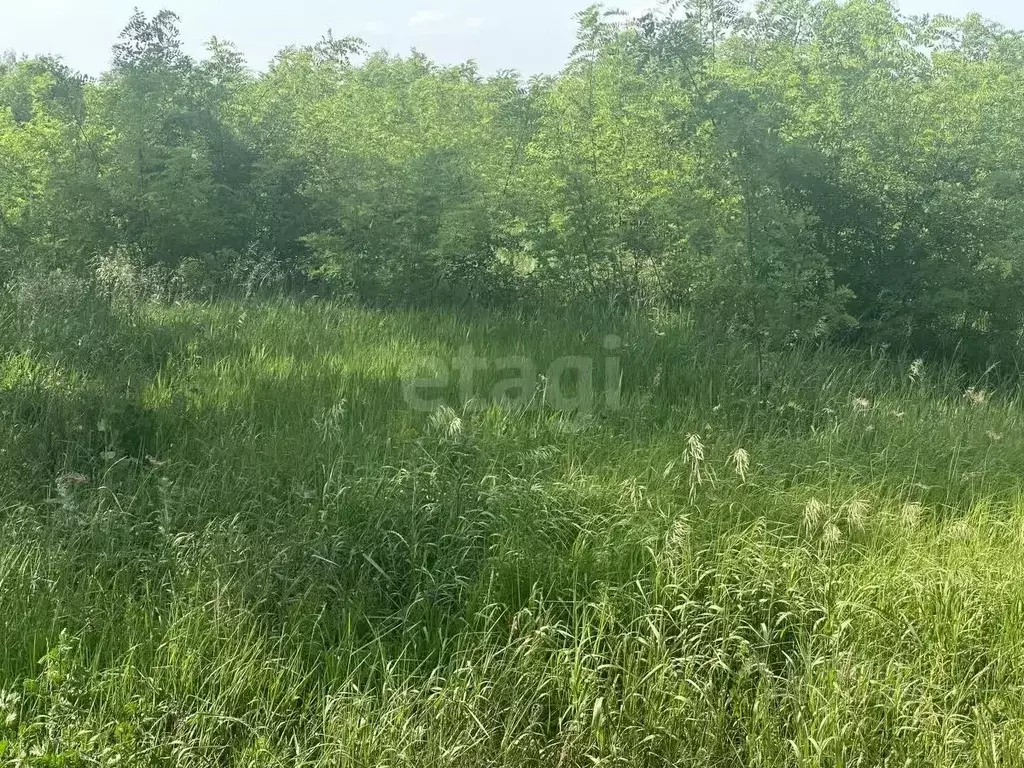 Участок в Белгородская область, Белгород ул. Беловская, 8 (15.5 сот.) - Фото 0