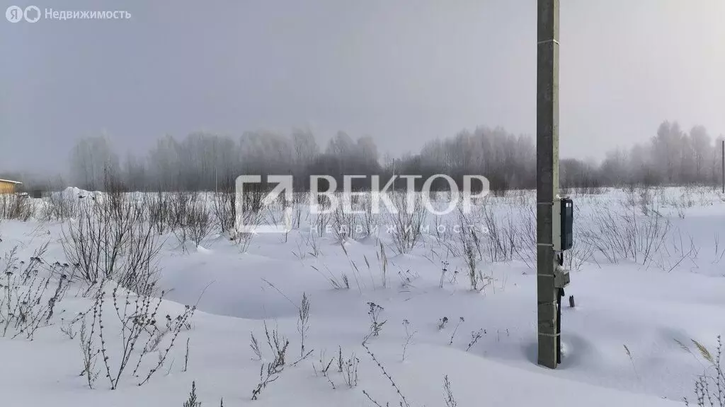 Участок в Кострома, коттеджный посёлок Первый, Камышинский проезд ... - Фото 1