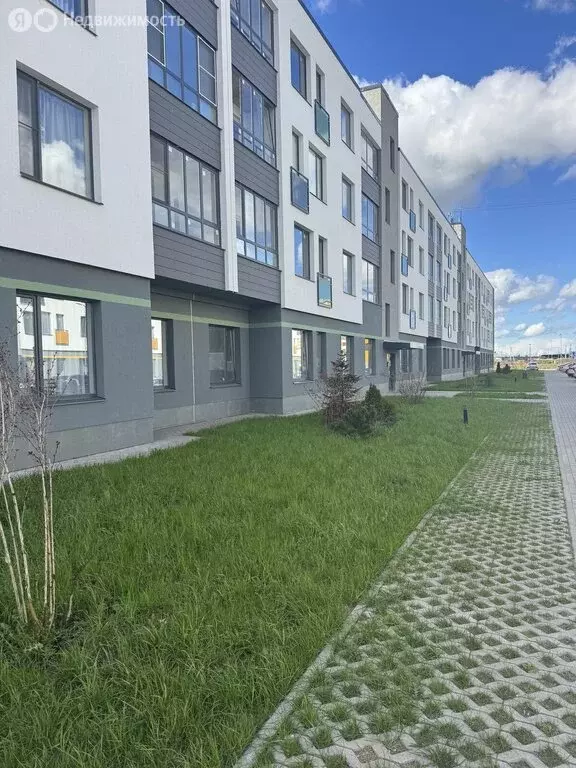 1-комнатная квартира: деревня Малое Верево, улица Кутышева, 9Вк9 (34 ... - Фото 0