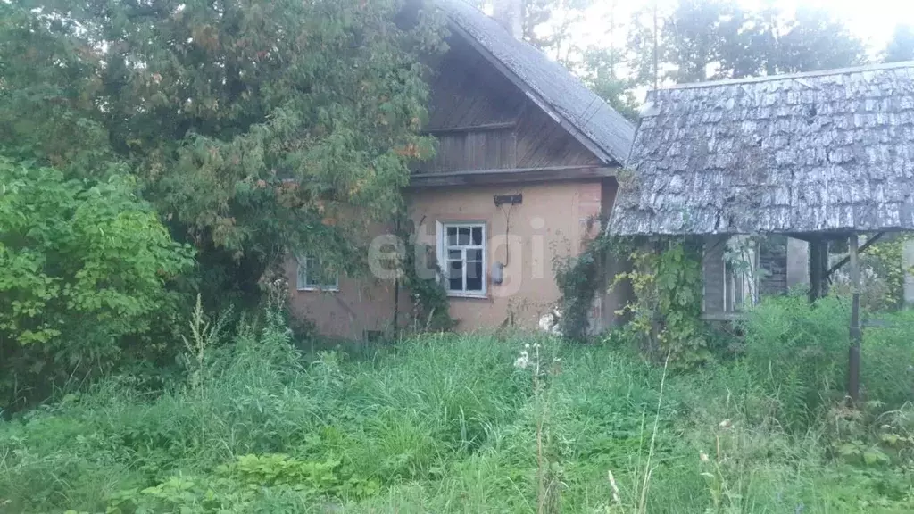 Дом в Псковская область, Пыталовский муниципальный округ, д. Магиново  ... - Фото 2