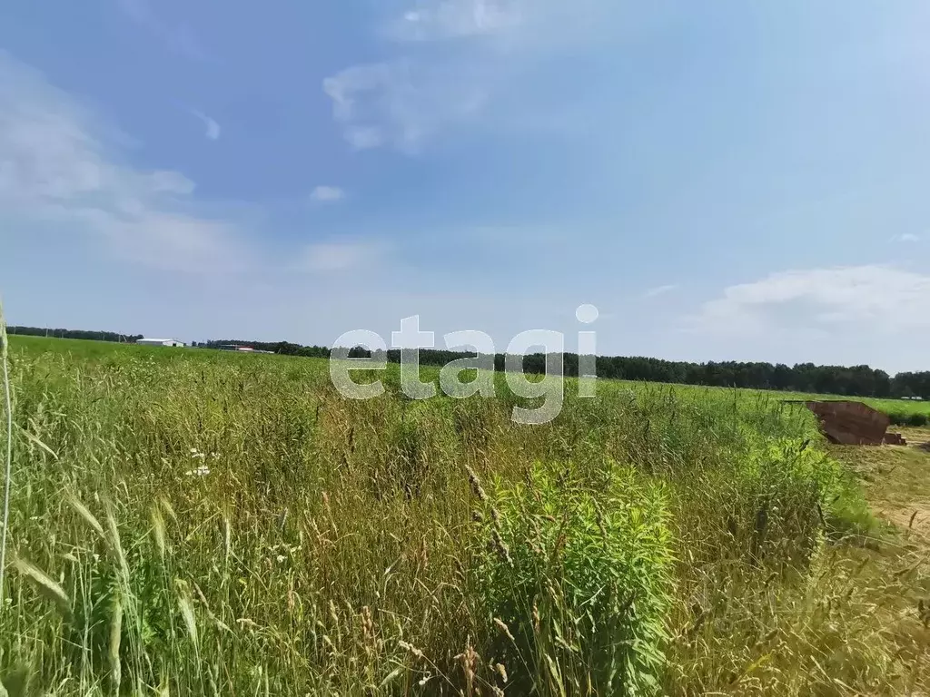Купить Земельный Участок В Брянской Области
