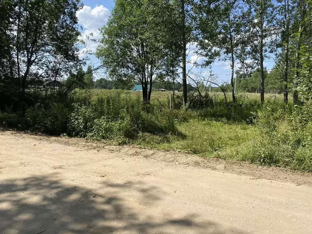 Участок в Московская область, Талдомский городской округ, д. Ольховик ... - Фото 1