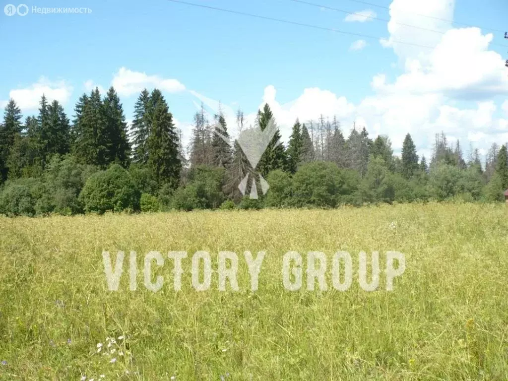 Участок в Московская область, Одинцовский городской округ, деревня ... - Фото 1