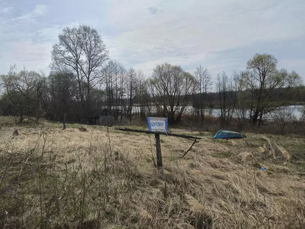 Участок в Пензенская область, Кузнецкий район, д. Боровая Озерная ул., ... - Фото 1