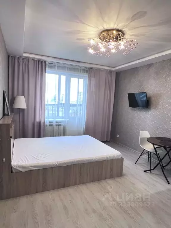Студия Новосибирская область, Новосибирск ул. Фрунзе, 20 (29.0 м) - Фото 0