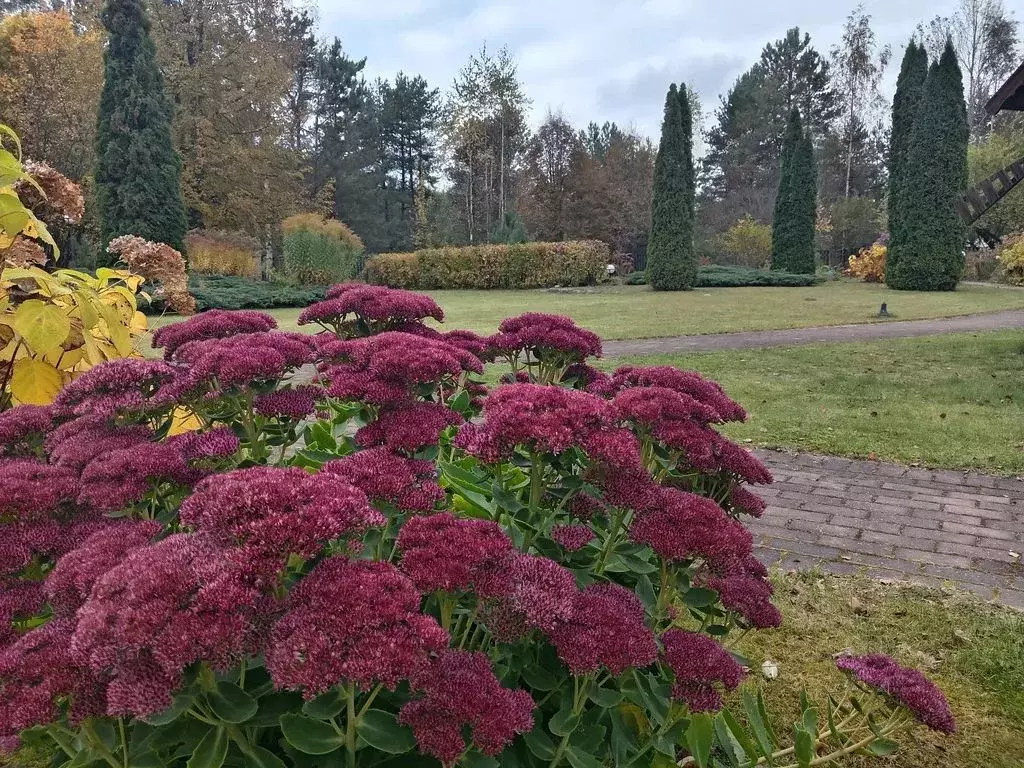 Дом в Псковская область, Невельский муниципальный округ, д. Опухлики  ... - Фото 1