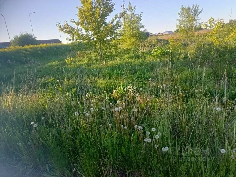 Участок в Татарстан, с. Высокая Гора ул. Юбилейная (10.0 сот.) - Фото 0