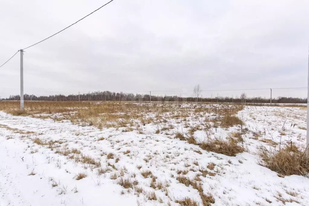 Участок в Тюменская область, Тюменский муниципальный округ, Дачи Хюгге ... - Фото 1