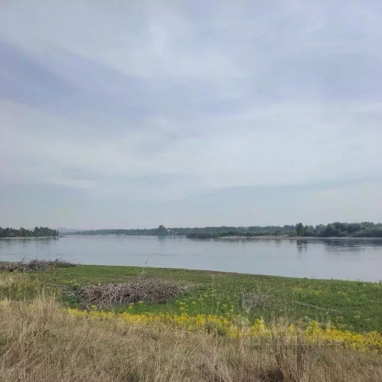Участок в Иркутская область, Иркутск  (20.0 сот.) - Фото 0