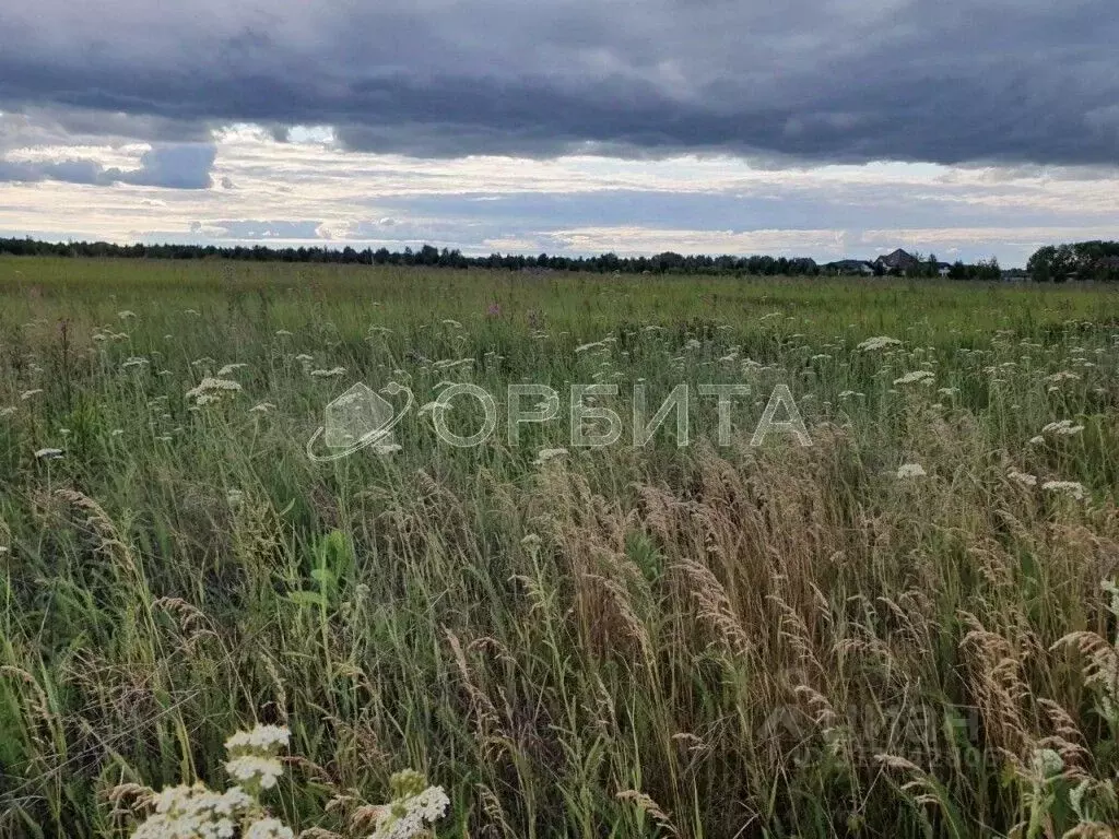 Участок в Тюменская область, Тюменский район, д. Малиновка  (4.93 ... - Фото 0