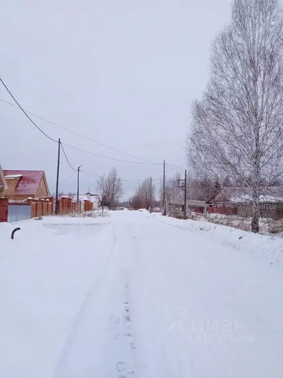 Коттедж в Томская область, Шегарское с/пос, с. Мельниково  (184 м) - Фото 1