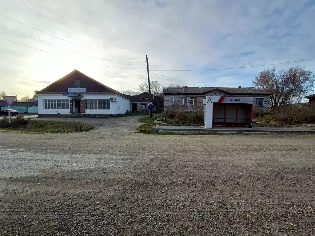 Участок в Пермский край, Суксунский муниципальный округ, с. Сыра ул. ... - Фото 0