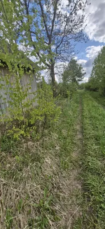 Дом в Брянская область, Брянский район, Снежское с/пос, с. Толмачево, ... - Фото 1