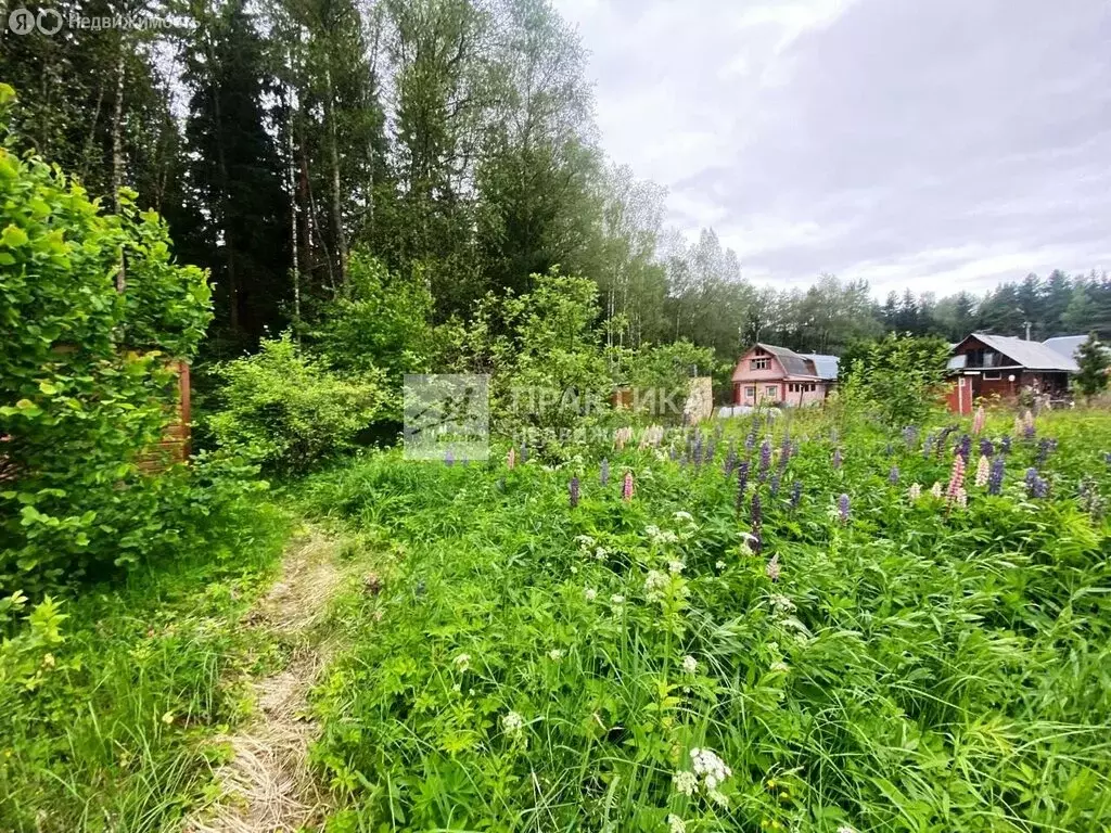 Дом в Богородский городской округ, СНТ Лотос-2, 43 (58 м) - Фото 1