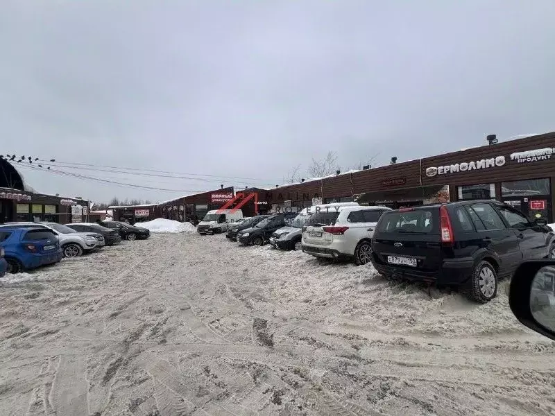 Торговая площадь в Московская область, Чехов Губернский мкр, 2 (751 м) - Фото 2