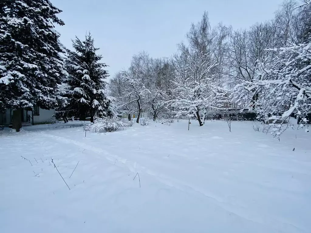 Участок в Московская область, Щелково городской округ, Загорянский пгт ... - Фото 1
