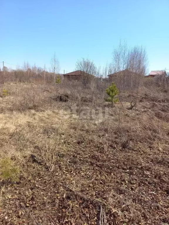 Участок в Новосибирская область, Новосибирский район, Станционный ... - Фото 1