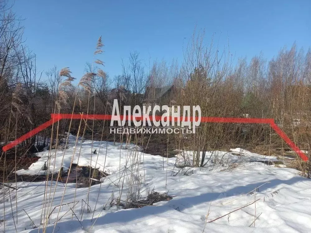 Участок в Ленинградская область, Всеволожский район, Колтушское ... - Фото 1