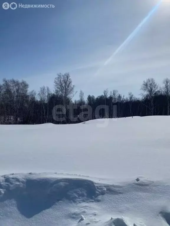 Участок в Каменский сельсовет, микрорайон Гармония, 3-я улица (10 м) - Фото 2