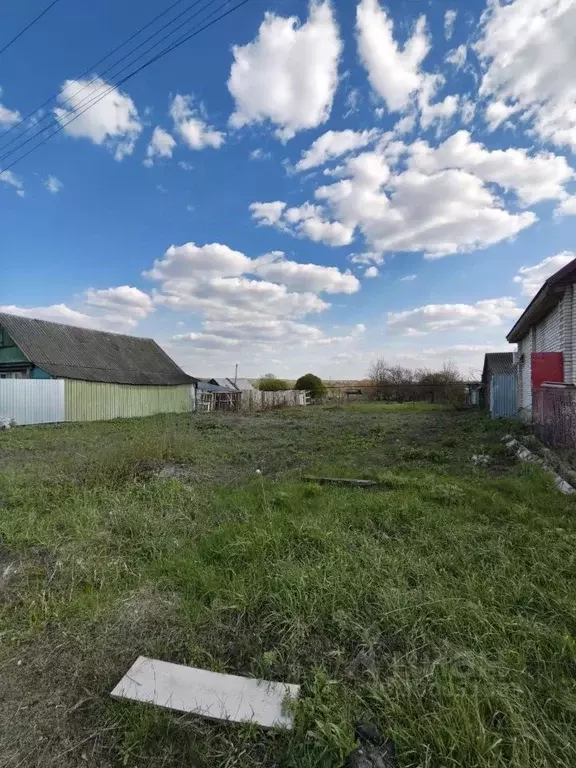 Участок в Пензенская область, Бессоновский район, с. Чемодановка ул. ... - Фото 1
