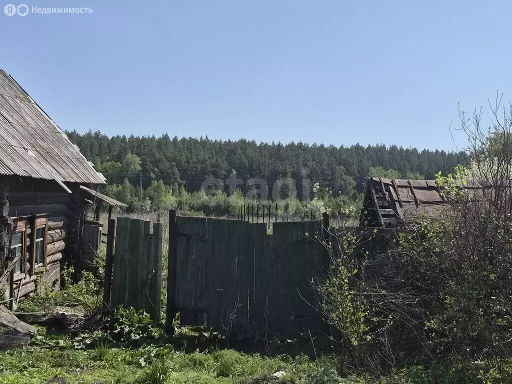 Участок в Обуховское сельское поселение, село Шилкинское, улица Ленина ... - Фото 1