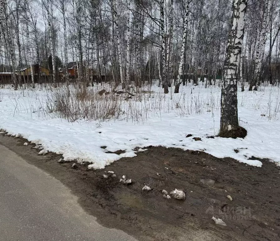 Участок в Московская область, Богородский городской округ, имени ... - Фото 0