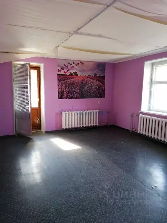 3-к кв. Нижегородская область, Бор 2-й мкр, 41 (88.62 м) - Фото 2