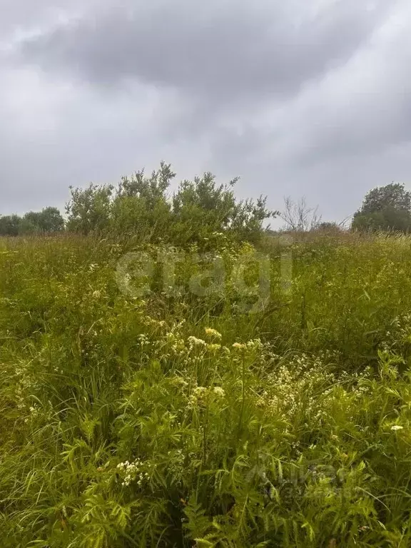 Участок в Вологодская область, пос. Фетинино  (13.81 сот.) - Фото 1
