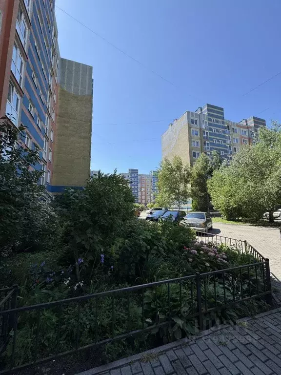 2-к кв. Калининградская область, Калининград Минусинская ул., 14 (56.5 ... - Фото 1