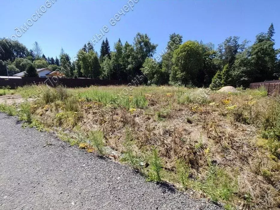 Участок в Московская область, Клин городской округ, Троицкий Лес кп ... - Фото 1