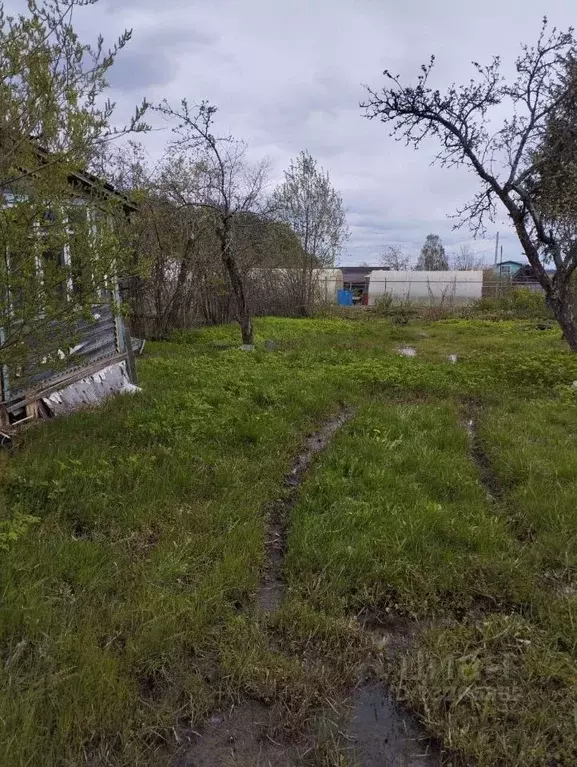 Дом в Ярославская область, Рыбинск Шекснинский п/р, пос. Волжский, ул. ... - Фото 0