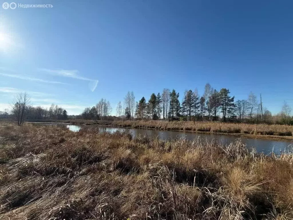 Участок в Бессоновский район, посёлок Подлесный, КП Лесное озеро, ... - Фото 2