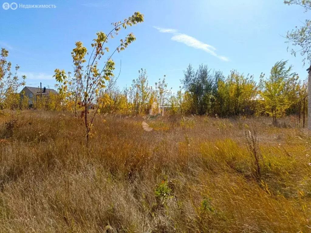 Участок в Энгельсский район, село Красный Яр (10 м) - Фото 1