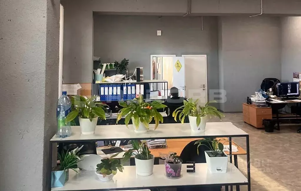 Офис в Санкт-Петербург пос. Парголово, Заречная ул., 15к1 (328 м) - Фото 1