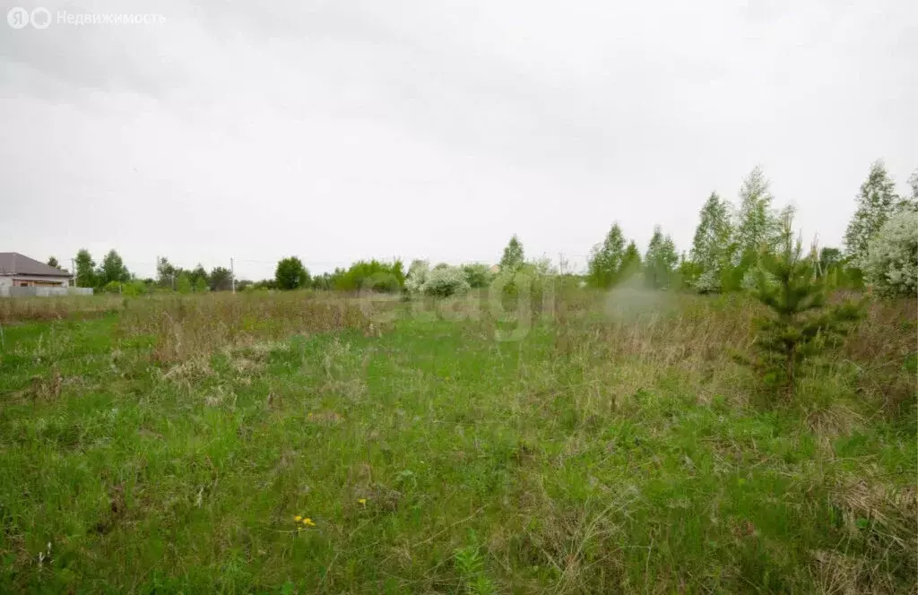 Участок в Республика Мордовия, Саранск (10 м) - Фото 2