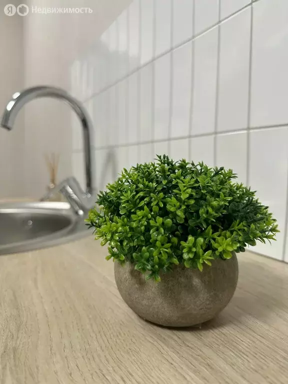 1к в 5-комнатной квартире (13 м) - Фото 2