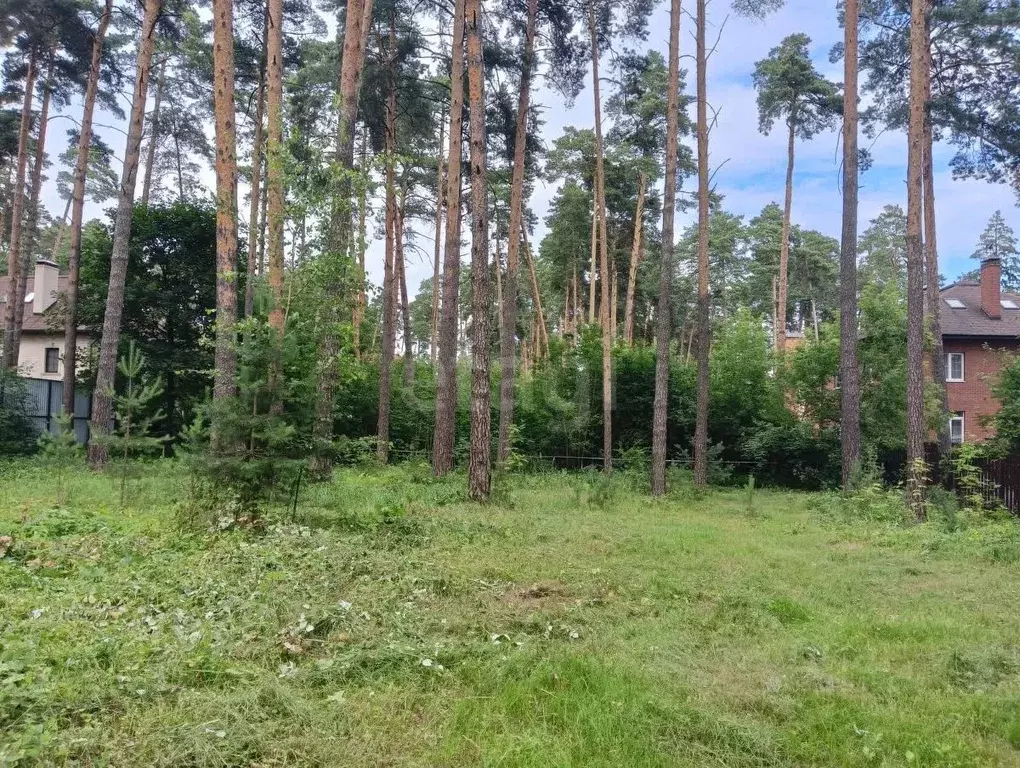 Участок в Московская область, Раменский муниципальный округ, Кратово ... - Фото 1
