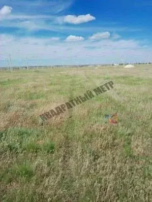 Участок в Калмыкия, Целинный район, с. Троицкое ул. Ойратская (6.0 ... - Фото 2