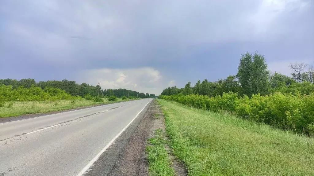 2-к кв. Омская область, Омский район, с. Красноярка ул. Гагарина, 13А ... - Фото 1